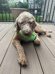 Fitryo Dog Football Chew Toy Rope Attachment supports interactive tug-of-war.