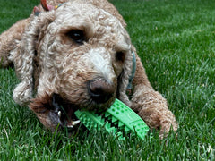 Fitryo Dog Football Chew Toy Treat Dispensing Center extends play with rewards.
