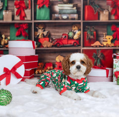 Fitwarm Christmas dog pajamas back view highlighting festive print for holiday photos.