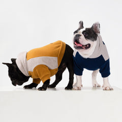 Fitwarm Color Block Dog Hoodie back view demonstrates full coverage for chilly park evenings.