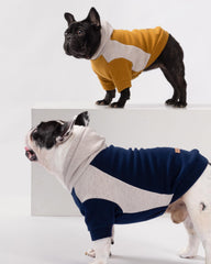 Fitwarm Color Block Dog Hoodie fabric closeup reveals soft rayon blend and durable weave.