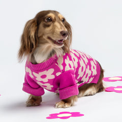 Fitwarm floral dog sweater knitted texture highlights soft breathable fabric for cozy seasons.