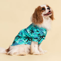 Fitwarm Hawaiian Coconut Palm dog shirt back view blue palm print for vacation-ready look