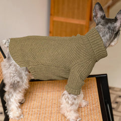 Fitwarm pullover dog sweater sage-green worn on a small dog for easy wear.