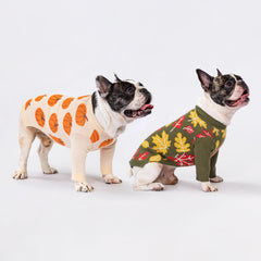 Fitwarm Pumpkin Dog Sweater ribbed collar focuses on secure, comfortable wear