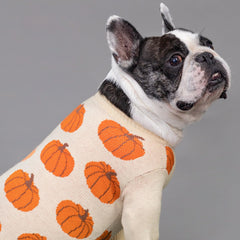 Fitwarm Pumpkin Dog Sweater pattern closeup showcases festive pumpkin motif for autumn charm