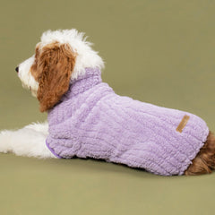 Fitwarm lavender onesie on a dog lounging on a couch, comfortable indoor wear