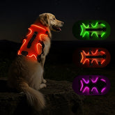 Fiveda light-up dog harness front view showcases bright RGB visibility for safe night walks.