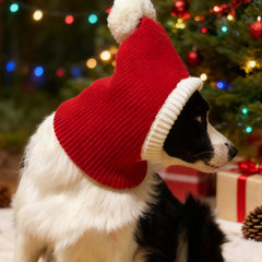 FLAdorepet red knit hat provides cozy warmth for winter outings.
