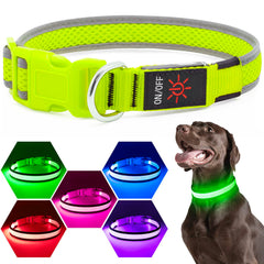 Flashseen collar LED con carga USB, sin baterías necesarias.