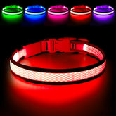 Collar Flashseen con luz nocturna para perros, mayor visibilidad en paseos.