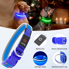 Flashseen LED dog collar close-up of adjustable strap for durable active use.