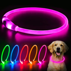 Flashseen LED dog collar provides 360-degree night visibility for safer nighttime walks.