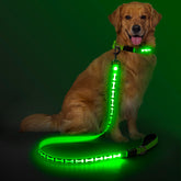 Flashseen light up dog leash front view with bright night visibility