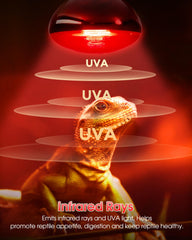 Flaspar red-spectrum 2700K bulb with high CRI for natural color while heating