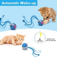 FLERDMAU cat ball demonstrates Bird Hide and Seek plus Mouse Catching modes