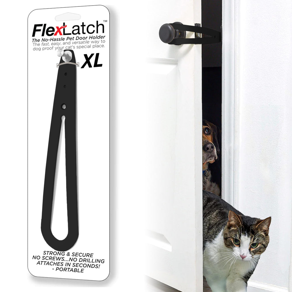 FlexLatch cat door holder latch in use allows cats through, keeps dogs out.