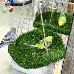 FlidRunest large-bird-foraging-mat-hooks enables easy installation in any cage.