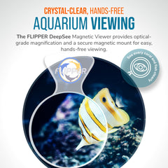 Flipper DeepSee with magnetic hold on tank walls enables hands-free observation.