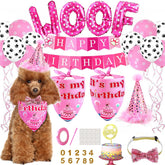 floofelove birthday-hat close-up with star decor for festive dog photos