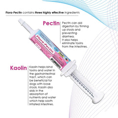FLORA-PECTIN probiotic-strains-label outlines gut flora support with four strains