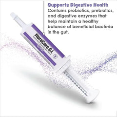 Pet Health Solutions FloraCare G.I. paste served for dogs with comforting GI-friendly texture.