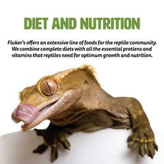 Fluker's Fresh Feeder Crickets served for bearded dragon feeding.