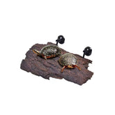 Flushbay turtle floating platform in aquarium highlighting basking space for natural heat exposure