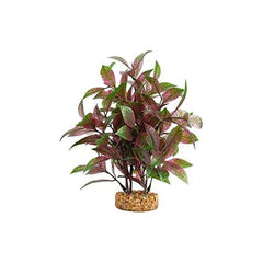 Fluval Aqualife broad leaf red Ludwigia plant 10-inch for natural-looking aquarium foliage and habitat enrichment