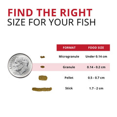 Fluval Bug Bites BSFL larvae ingredient close-up highlighting sustainable insect protein
