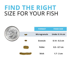 Fluval Bug Bites slow-sinking granules ideal for multiple depths