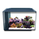 Fluval Evo XII front view demonstrates compact reef-ready design for desktop spaces.