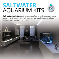 Fluval Evo XII rear filter compartment highlights integrated filtration for easy maintenance.