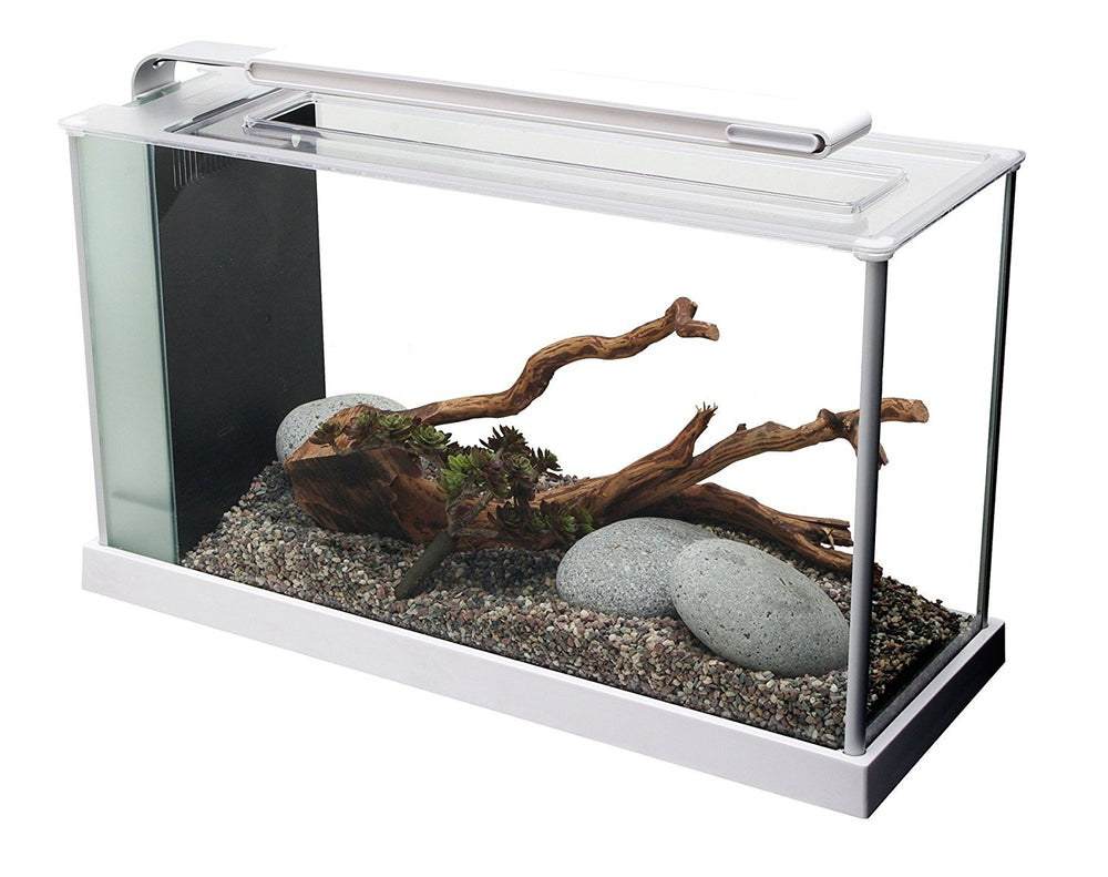 Fluval SPEC 5-gallon aquarium front view showcasing compact desktop setup for plants and small fish