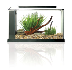 Fluval SPEC etched glass with aluminum trim offers durable, stylish desktop display.
