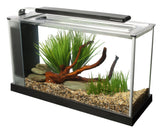 Fluval SPEC aquarium with LED lighting arch enhances vibrant fish colors and plant growth.