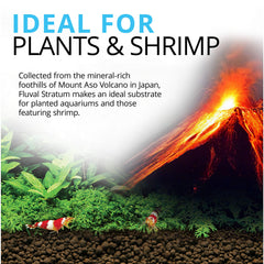 Fluval Plant and Shrimp Stratum root-penetration supports strong plant anchorage.