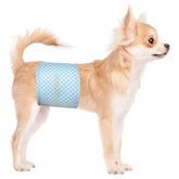 Flying Paws disposable belly bands for male dogs packaged for easy shopping