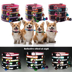 Flymind soft nylon collar material showing comfortable wear for pets