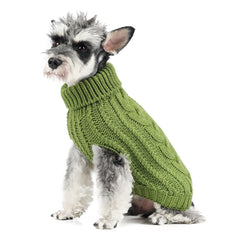 FOFOS dog sweater green size L on a small dog for cozy chilly walks