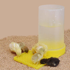 FOIBURELY Baby Bird Button Quail Yellow Water Feeder easy to detach for refills.