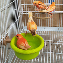 FOIBURELY water-bath supports bird hygiene and heat dissipation during baths.