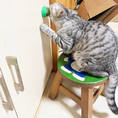 FOONEA catnip balls support healthy digestion through chewing and appetite stimulation.