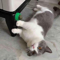 FOONEA catnip balls highlight potential teeth-cleaning benefits during chewing.