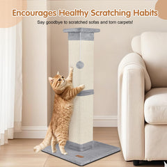 Fopetfy reinforced middle structure shows durable support for active multi-cat households.