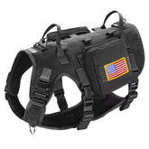 Forestpaw dog harness overview highlighting rugged nylon and adjustable fit