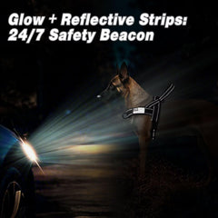 Forestpaw quick-release buckle close-up for fast on off convenience.