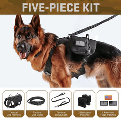 Forestpaw bungee leash ergonomic handles reduce sudden pulls during jogs