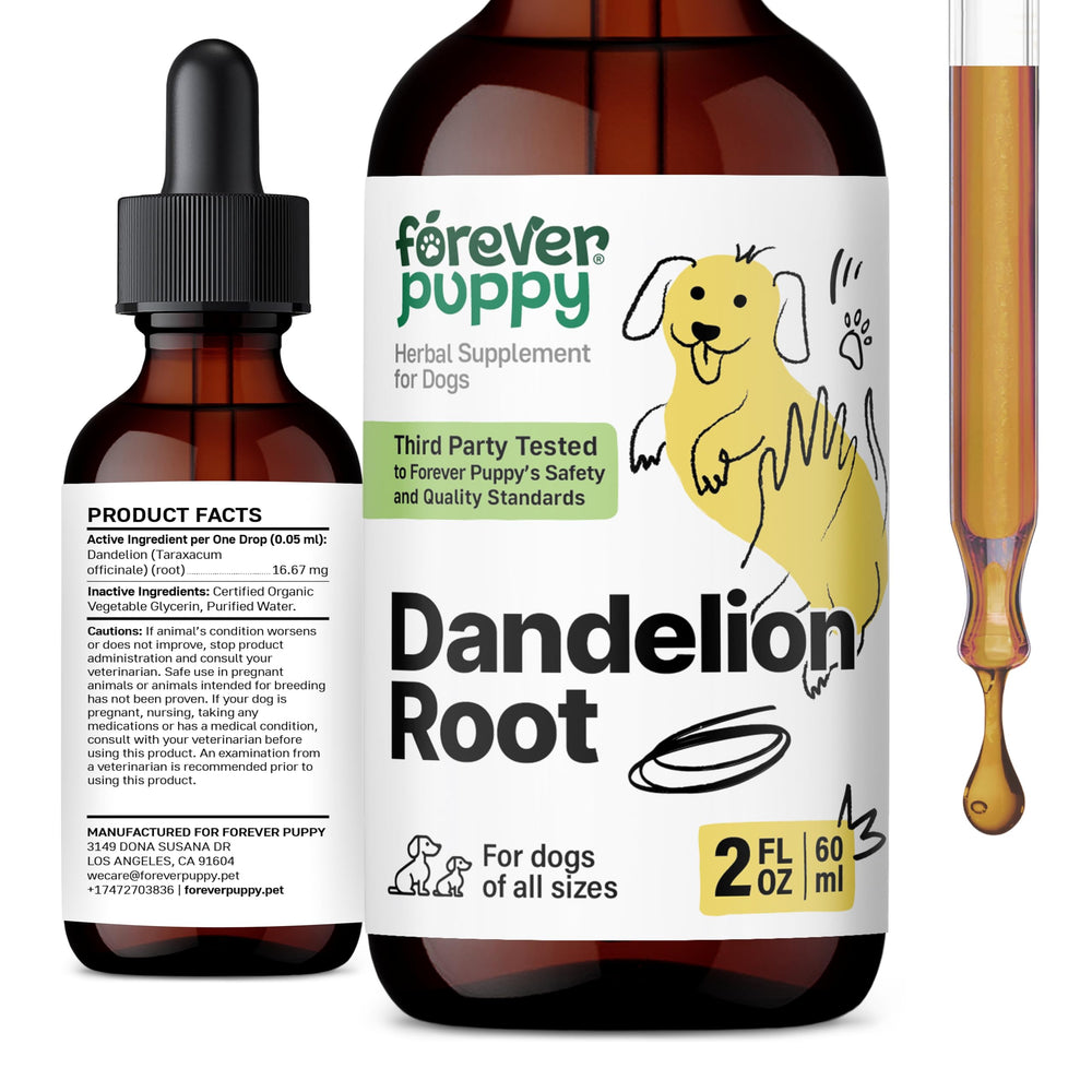Forever Puppy Dandelion Root Drops bottle shows natural liver support for dogs.