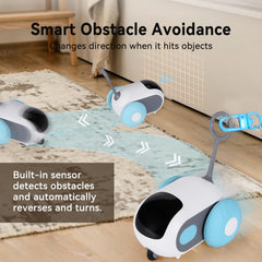 Four Angels Turbo Tail 5.0 obstacle-avoidance navigates carpets and floors smoothly.